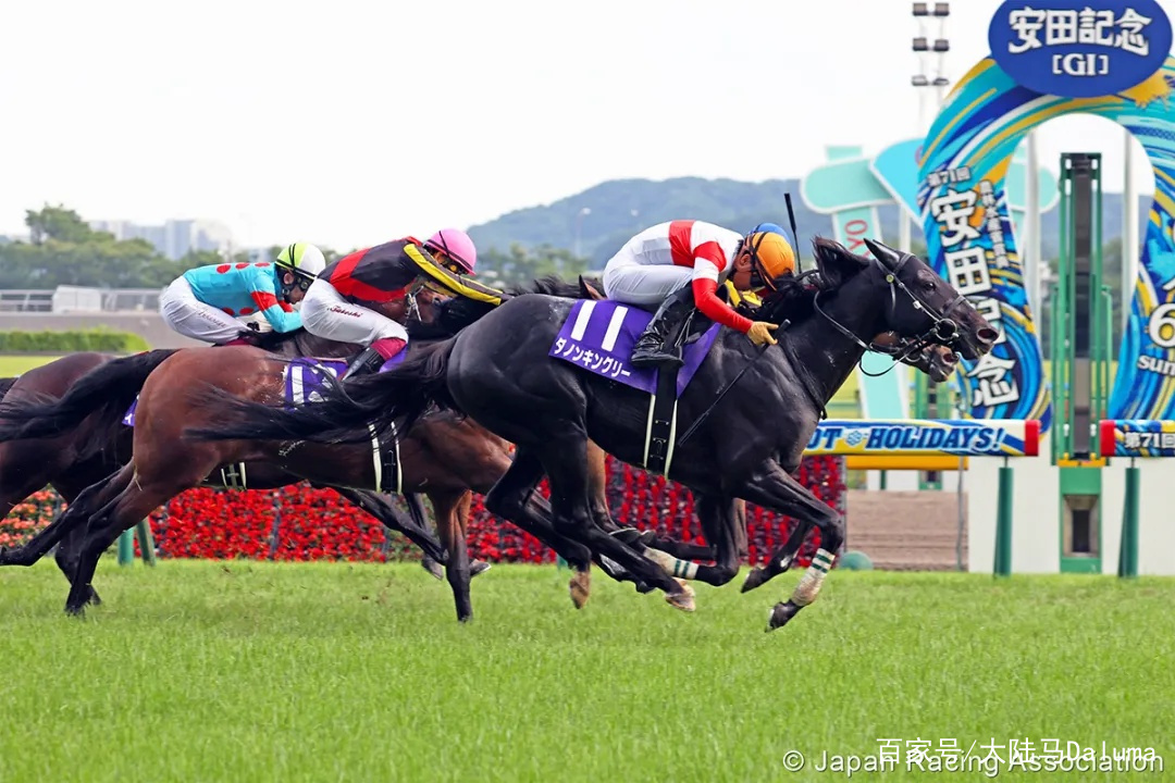 香港王中王與一馬中特肖的獨(dú)特魅力，深度解析與探索，香港王中王與一馬中特肖的獨(dú)特魅力，深度探索與解析