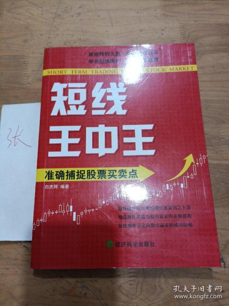 王中王平特一肖秀家網(wǎng)，深度解析與SEO優(yōu)化策略，王中王平特一肖秀家網(wǎng)，深度解析與SEO優(yōu)化策略指南
