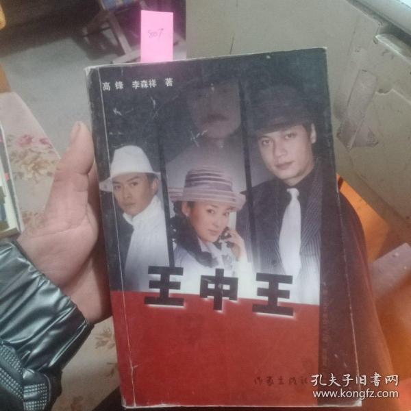 王中王資料一肖中天，深度解析與探索，王中王資料一肖中天，深度剖析與探索