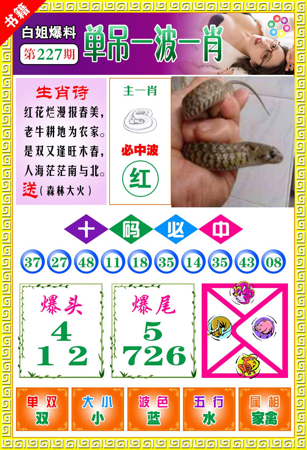 王中王免費(fèi)開(kāi)獎(jiǎng)一肖結(jié)果，揭秘彩票背后的秘密，揭秘王中王彩票開(kāi)獎(jiǎng)內(nèi)幕，一肖結(jié)果背后的秘密揭曉