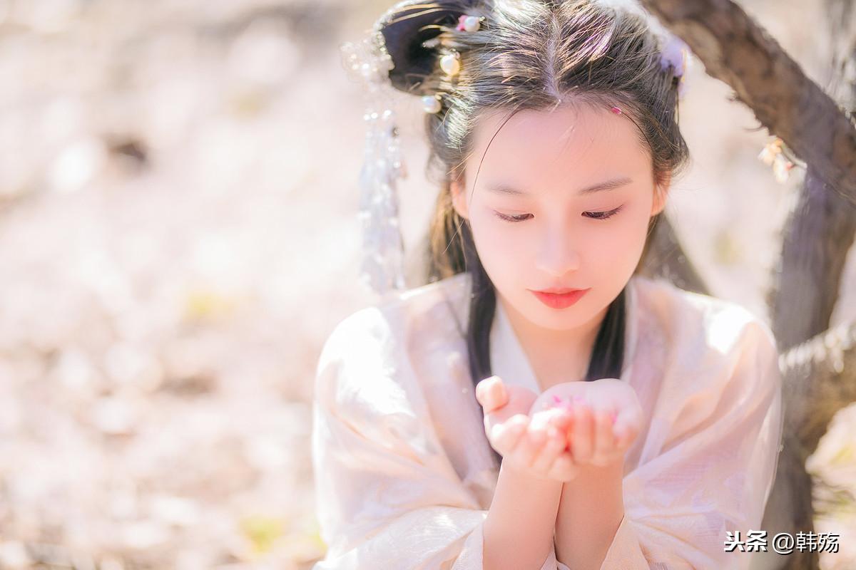劉伯溫四不像圖特一肖，神秘預(yù)言與傳奇故事，劉伯溫四不像圖特一肖，神秘預(yù)言與傳奇探秘