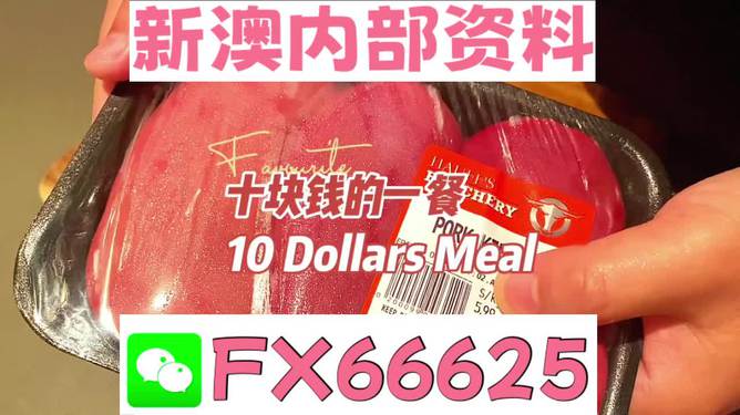 揭秘2025新澳精準(zhǔn)資料免費(fèi)大全——一站式獲取最新資源，揭秘2025新澳精準(zhǔn)資料免費(fèi)大全，最新資源一站式獲取
