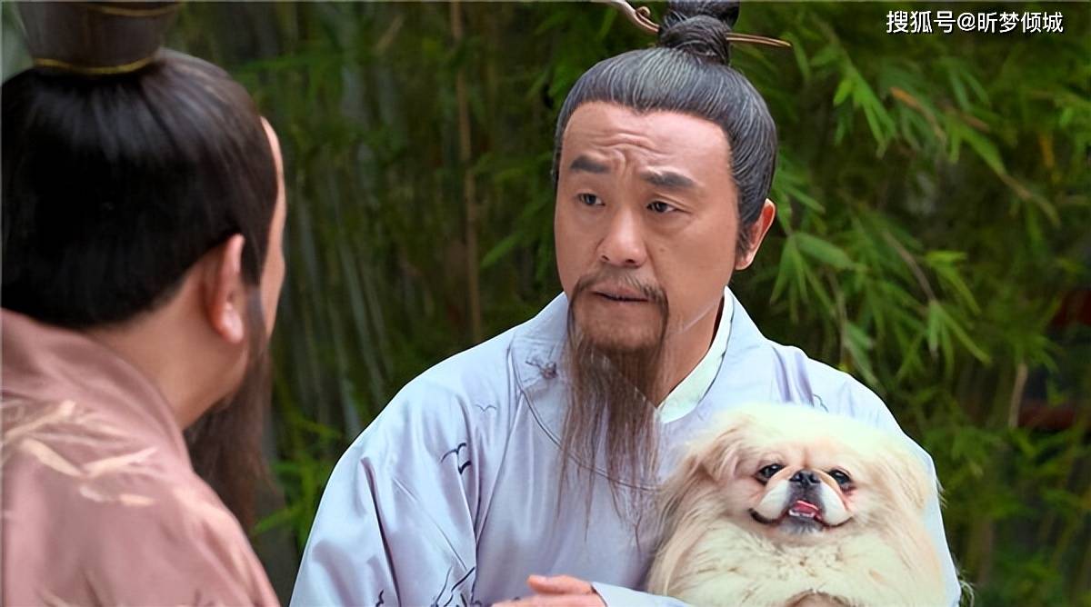 揭秘劉伯溫四不象一肖的神秘面紗——探尋背后的傳奇故事，揭秘劉伯溫四不象一肖背后的傳奇故事，神秘面紗下的神秘傳說