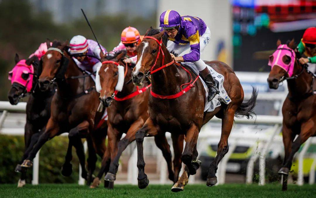 香港賽馬，探索賽馬運(yùn)動的激情與榮耀之地——7777788888的獨(dú)特魅力，香港賽馬，激情與榮耀的獨(dú)特魅力探索——777778賽馬運(yùn)動之地