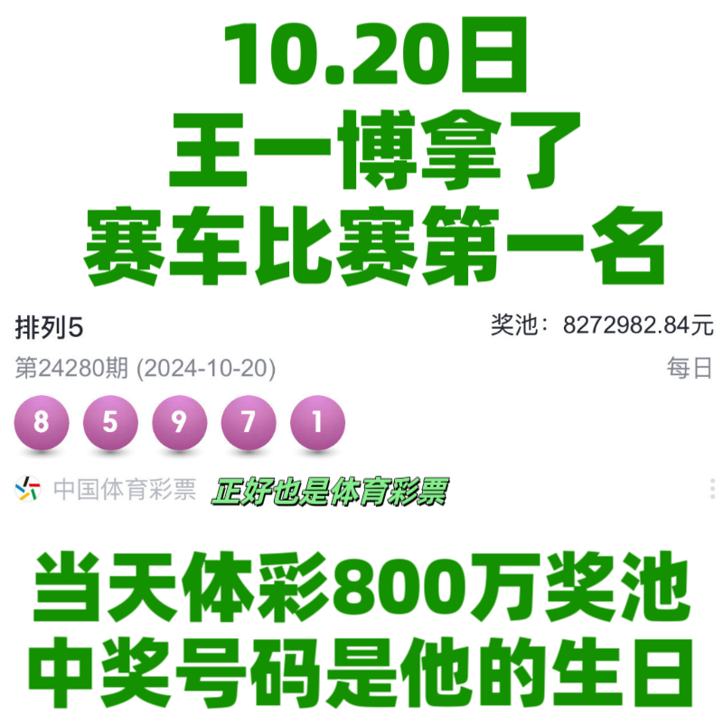 王中王一肖資料中特馬——深度解析與SEO洞察，王中王一肖特馬深度解析與SEO洞察揭秘