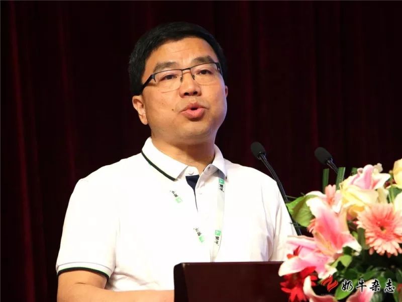 王中王一平特肖，揭秘第100期的秘密與策略，揭秘第100期秘密與策略，王中王一平特肖獨(dú)家解析