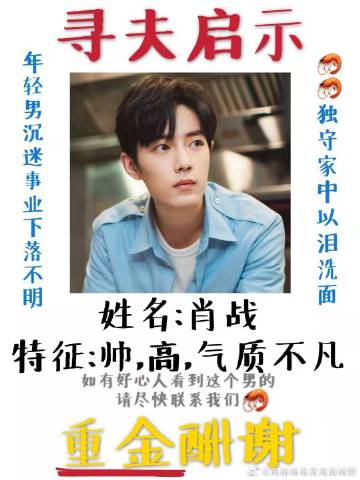 一肖一碼一一肖一子善，探尋命運(yùn)密碼與智慧之光的完美結(jié)合，命運(yùn)密碼與智慧之光，一肖一碼一一肖一子善的探尋
