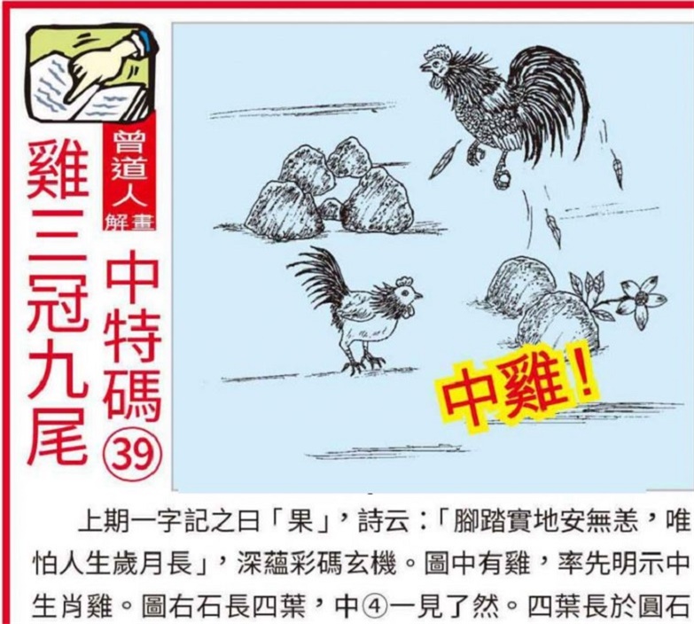 澳門2025全年資料大全正版資料權(quán)威指南，澳門2025全年正版權(quán)威指南，全面資料大全與權(quán)威解讀