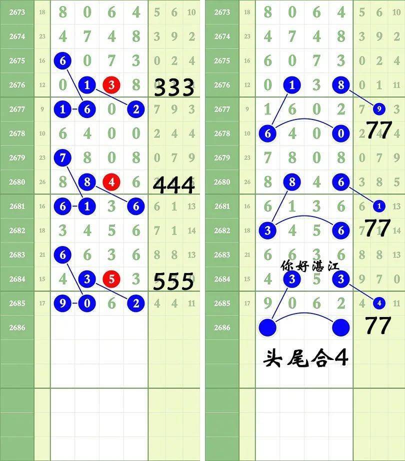一肖三碼王中王絕密，揭秘背后的秘密與策略洞察，揭秘一肖三碼王中王絕密策略與背后秘密