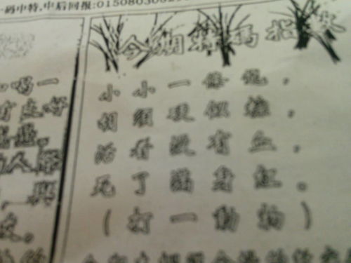 揭秘劉伯溫的一肖一特，探尋神秘傳奇背后的真相，劉伯溫傳奇揭秘，揭秘生肖之謎與獨(dú)特特質(zhì)背后的真相