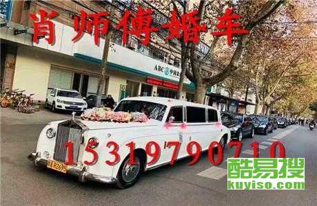 王中王車奪平特一肖免費(fèi)——深度解析與探索，王中王車奪平特一肖，深度解析與免費(fèi)探索
