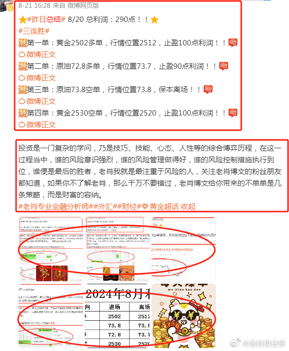 香港王中王一肖最準(zhǔn)——揭秘精準(zhǔn)預(yù)測的秘密，揭秘香港王中王一肖精準(zhǔn)預(yù)測的秘密之道