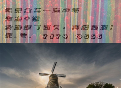 王中王四肖三期必出一期，揭秘彩票背后的秘密策略與技巧，揭秘彩票策略與技巧，王中王四肖三期必出一期之道