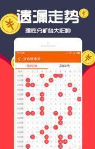 王中王一肖十，深度解析與SEO優(yōu)化策略，王中王一肖十深度解析與SEO優(yōu)化策略探討