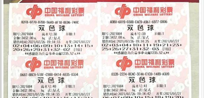 王中王084期指一生肖，解讀背后的秘密與生肖運勢分析，王中王084期生肖揭秘，秘密解讀與運勢展望