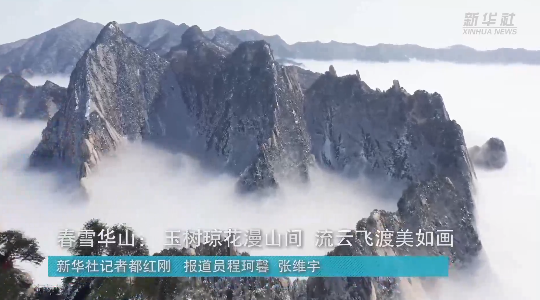 澳門最精準(zhǔn)龍門，探索真正的精準(zhǔn)之道，澳門最精準(zhǔn)龍門，揭秘真正的精準(zhǔn)之道