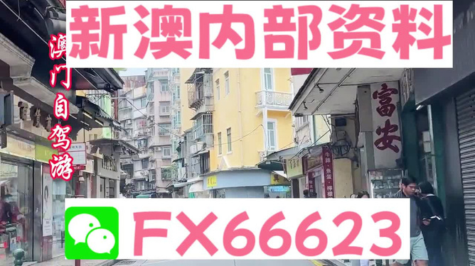 新澳精準資料免費提供，探索與利用資源助力成功，新澳精準資料免費分享，助力成功探索與利用資源