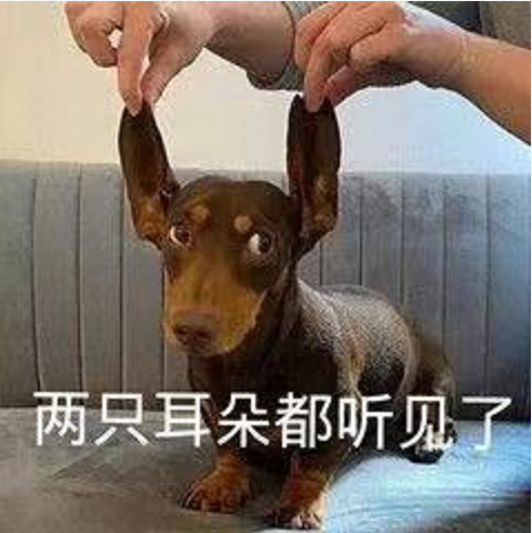 王中王四不象必中一肖，揭秘背后的秘密與策略，揭秘王中王四不象必中一肖背后的秘密與策略之道