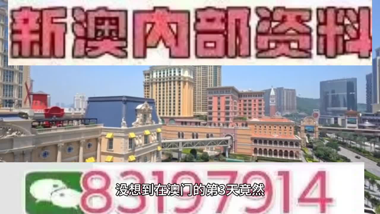 新澳門今晚必開一肖一特，探索生肖與特碼的魅力，澳門生肖特碼探索，今晚必開一肖一特之魅力
