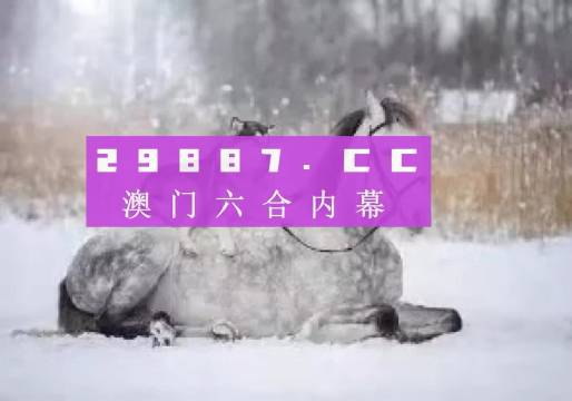 澳門正版精準(zhǔn)資料，探索未來的趨勢與機(jī)遇（2024年展望），澳門正版精準(zhǔn)資料揭秘，未來趨勢與機(jī)遇展望（2024年）