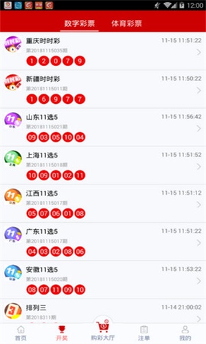 一碼一肖，揭秘背后的秘密與探索其獨(dú)特魅力，揭秘一碼一肖背后的秘密與獨(dú)特魅力探索