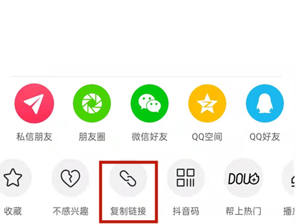 白小姐王中王中特一肖，神秘傳奇與SEO探索，神秘傳奇與SEO探索，白小姐王中王中特一肖的奧秘