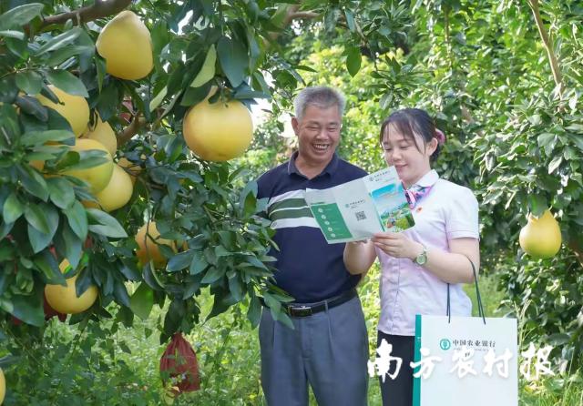 資料大全正版資料2025，一站式獲取所有你需要的信息，資料大全正版資料2025，一站式獲取所有信息總匯