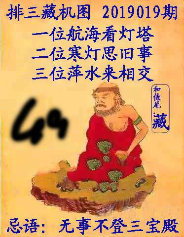 王中王019期指一生肖，深度解讀與SEO優(yōu)化策略，王中王019期生肖深度解讀與SEO策略優(yōu)化指南