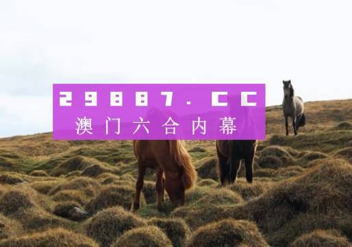 澳門(mén)六開(kāi)獎(jiǎng)結(jié)果2023開(kāi)獎(jiǎng)記錄查詢(xún)網(wǎng)站——全面解析與最新資訊，澳門(mén)六開(kāi)獎(jiǎng)結(jié)果最新解析與資訊，全面查詢(xún)2023年開(kāi)獎(jiǎng)記錄