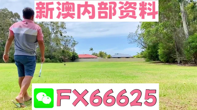 王中王一碼二肖，揭秘背后的秘密，揭秘王中王一碼二肖背后的秘密