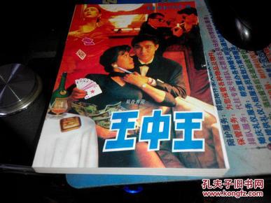 王中王資料一肖中特小說(shuō)，深度解析與探索，王中王資料一肖中特小說(shuō)的深度解析與探索之旅