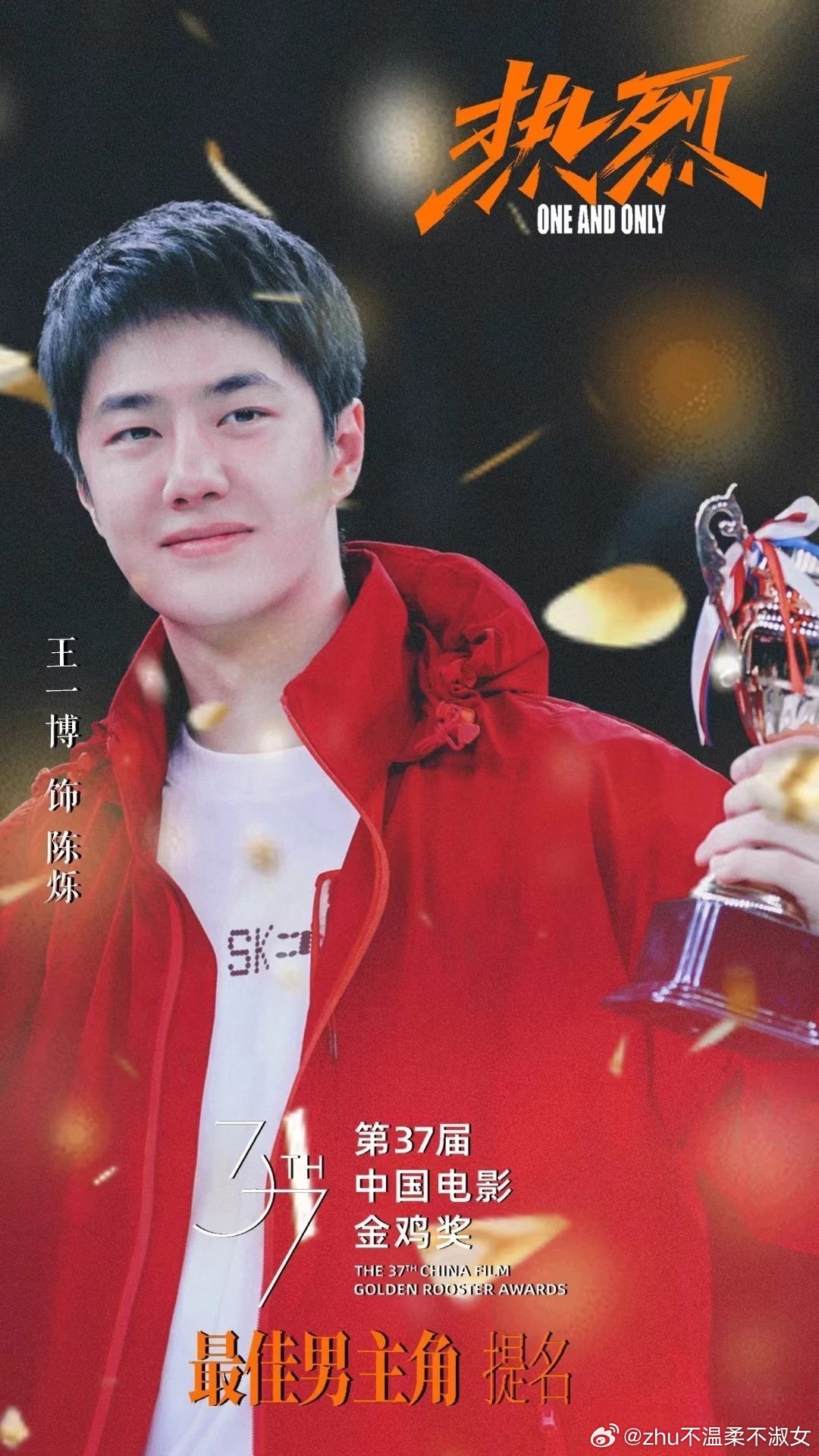 王中王一肖一特一中一中，探尋背后的故事與奧秘，探尋王中王一肖背后的故事與奧秘