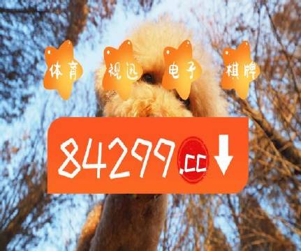 澳門天天開彩好正版掛牌第168期，探索彩票的魅力與策略，澳門彩票探索，魅力與策略揭秘 第168期正版掛牌開彩體驗(yàn)