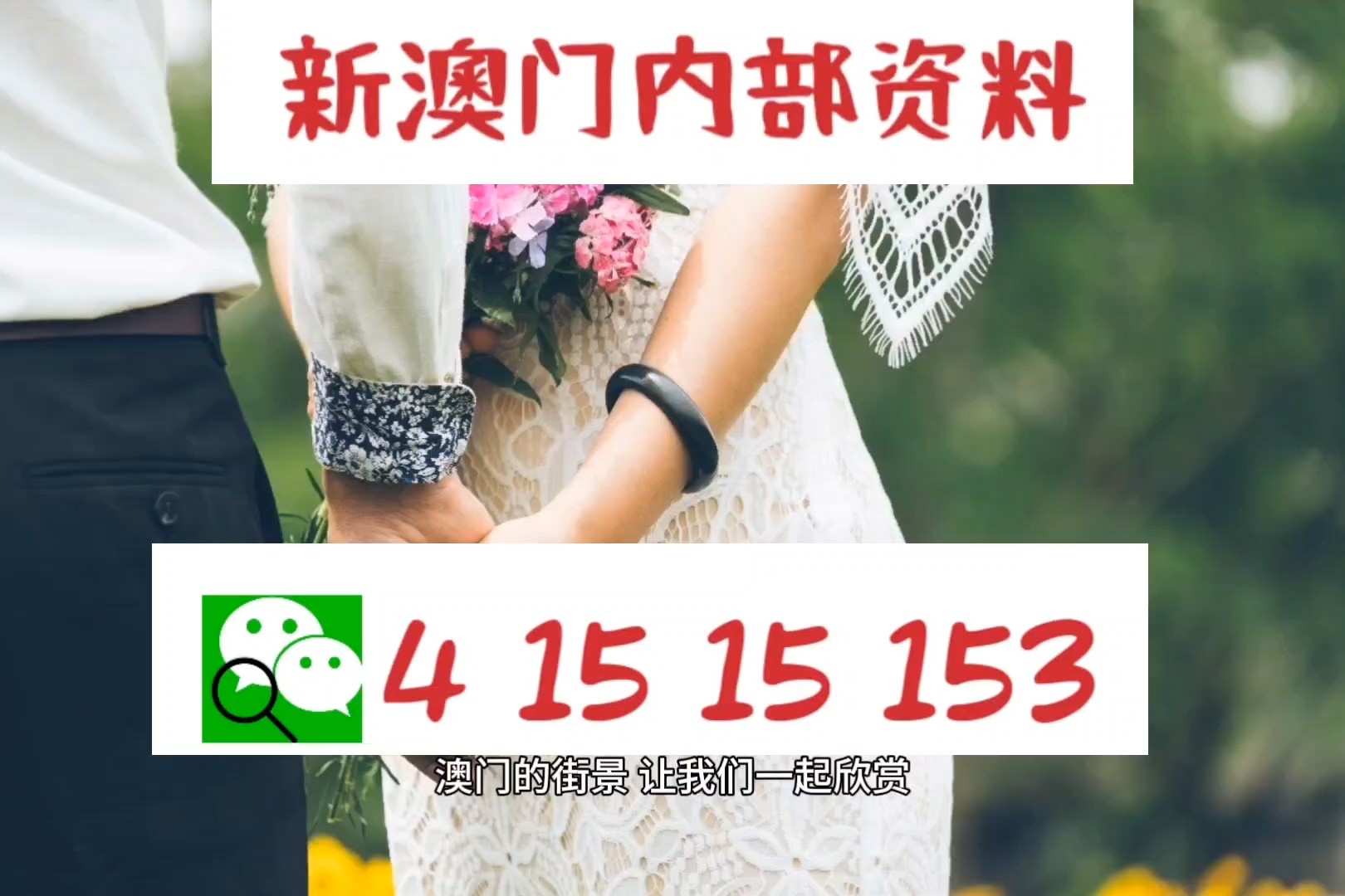新澳精準(zhǔn)資料，深度解析與探索，新澳精準(zhǔn)資料深度解析與探索之旅