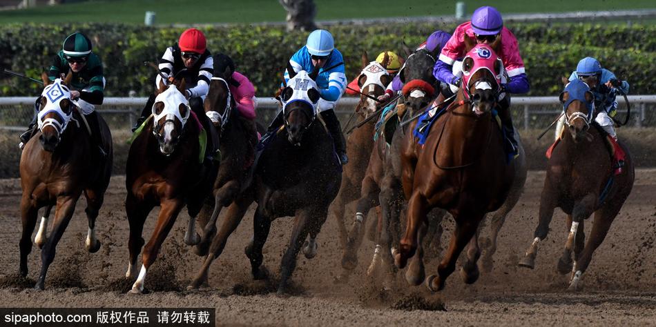 王中王與一馬中特，探尋生肖之魅力——關于生肖屬相的獨特解讀，揭秘生肖魅力，王中王與一馬中特的獨特解讀