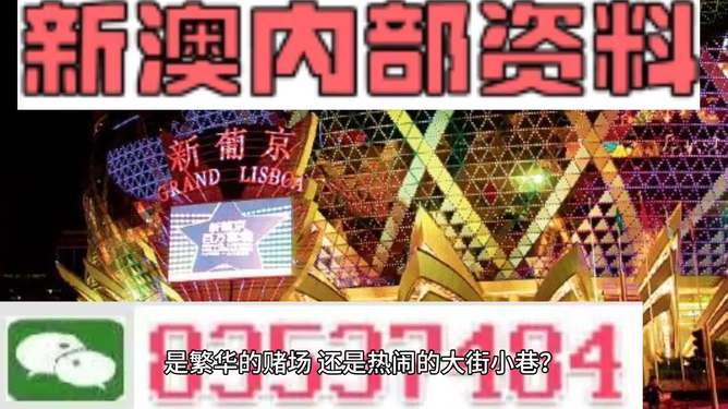 新澳門精準(zhǔn)資料大全管家婆料，探索與解析，澳門精準(zhǔn)資料大全解析，探索管家婆料內(nèi)幕