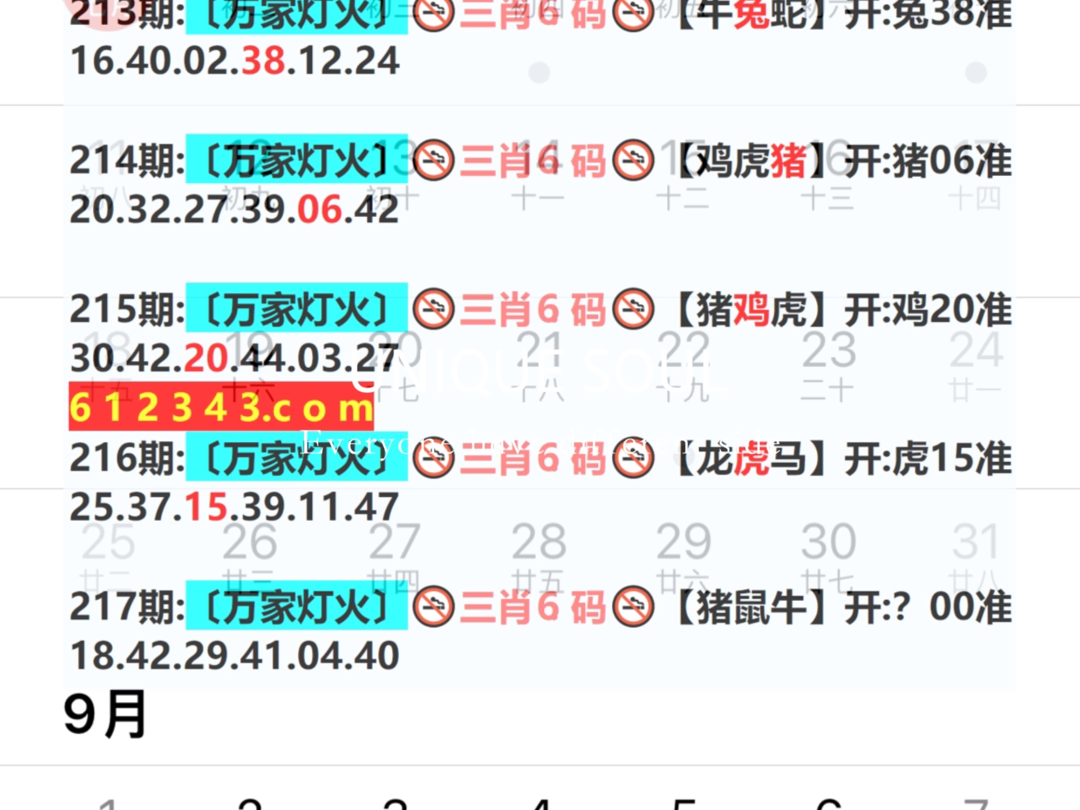 新奧今日六肖中特，揭秘背后的秘密與趨勢(shì)分析，揭秘新奧今日六肖中特背后的秘密與趨勢(shì)分析