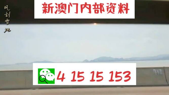 新澳2025最新資料生肖，深度解析與預測展望，新澳2025最新生肖資料深度解析與未來預測展望