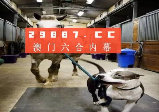 澳門一肖一碼一必中一肖，同舟前進的奧秘與策略，澳門一肖一碼必中策略與前進奧秘，同舟共濟的揭秘與策略