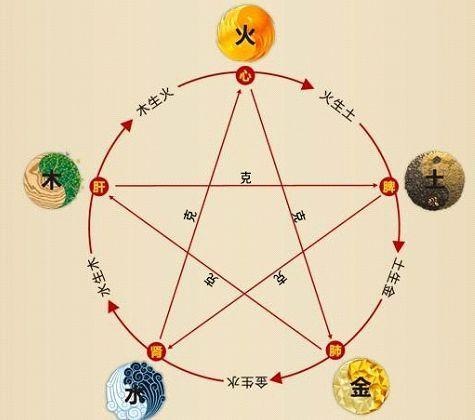 鐵算算盤4887最準(zhǔn)資料，揭秘其背后的秘密與優(yōu)勢，揭秘鐵算算盤4887，最準(zhǔn)資料背后的秘密與優(yōu)勢