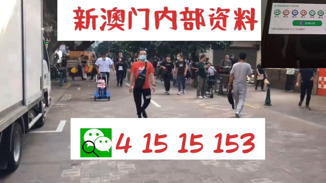 澳門管家婆一馬一中一開，揭秘背后的秘密與策略，澳門管家婆一馬一中一開，揭秘背后的秘密與策略揭秘背后的秘密與策略
