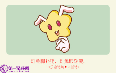 揭秘精準(zhǔn)生肖，探尋神奇的數(shù)字組合777778與888888背后的生肖秘密，揭秘生肖秘密，數(shù)字組合777778與888888背后的生肖傳奇