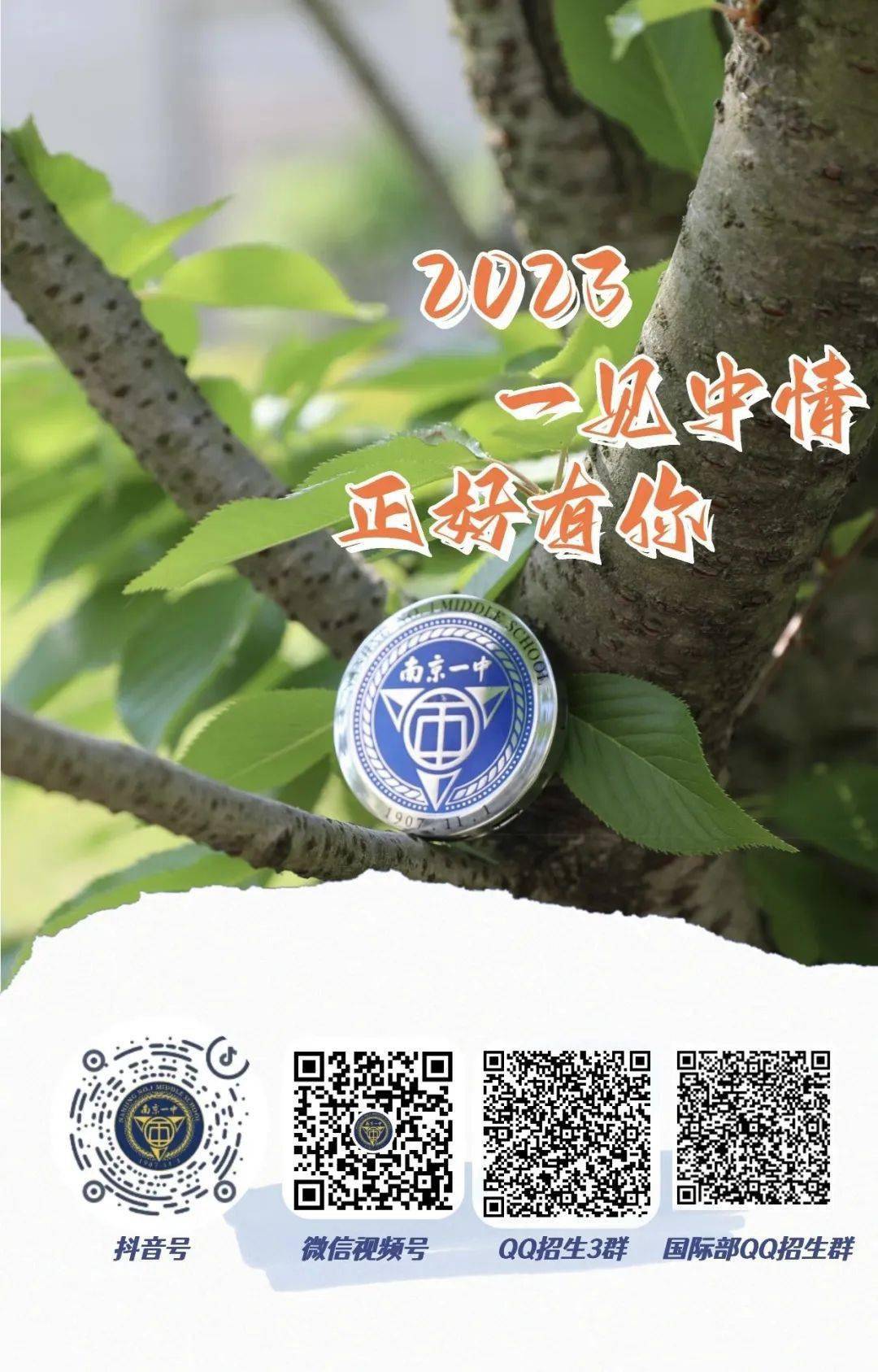 一碼一肖一特一中，揭秘背后的秘密與奧秘，揭秘一碼一肖一特一中背后的秘密奧秘