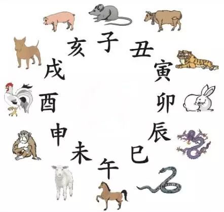 澳門天天彩期期精準(zhǔn)十二生肖預(yù)測——揭秘彩票秘密，澳門天天彩期期精準(zhǔn)十二生肖預(yù)測，揭秘彩票秘密之獨家解析