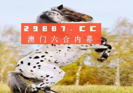白小姐的精準(zhǔn)免費(fèi)四肖，揭秘背后的秘密，揭秘白小姐精準(zhǔn)免費(fèi)四肖背后的秘密