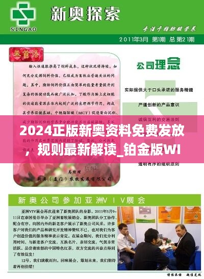 2025新澳正版資料查詢(xún)指南，2025新澳正版資料查詢(xún)手冊(cè)