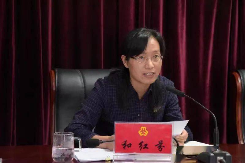 二四六香港期期中的資料解析與SEO優(yōu)化策略，香港期期二四六資料解析與SEO優(yōu)化策略探討