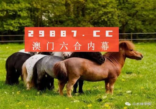 一馬中特內(nèi)部精準(zhǔn)資料免費(fèi)大公開，揭秘行業(yè)秘密，助力個(gè)人成長(zhǎng)，揭秘行業(yè)秘密，一馬中特內(nèi)部精準(zhǔn)資料大公開，助力個(gè)人成長(zhǎng)免費(fèi)獲取