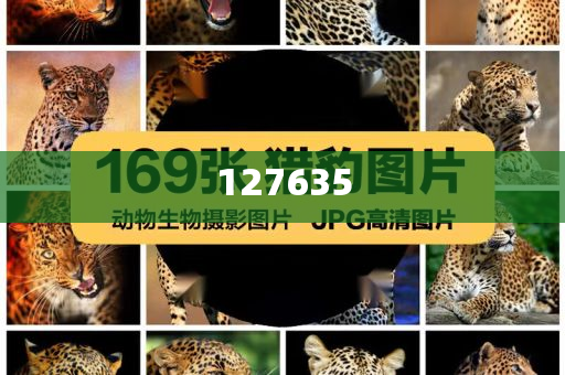 精準新傳真，揭秘數(shù)字組合7777788888的神秘面紗，揭秘數(shù)字組合7777788888的神秘面紗，精準新傳真解讀