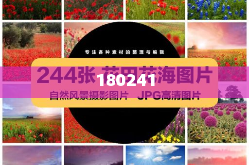 揭秘精準管家婆狗，77777與88888的神秘面紗，揭秘精準管家婆狗，神秘數(shù)字77777與88888背后的秘密